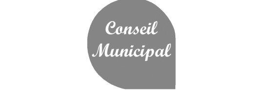 conseilMunicipal1