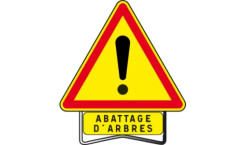 Rappel – Abattage d’arbres malades