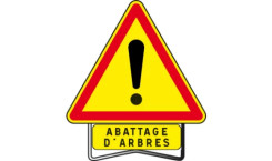 RAPPEL – Abattage d’arbres malades