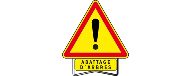 RAPPEL – Abattage d’arbres malades